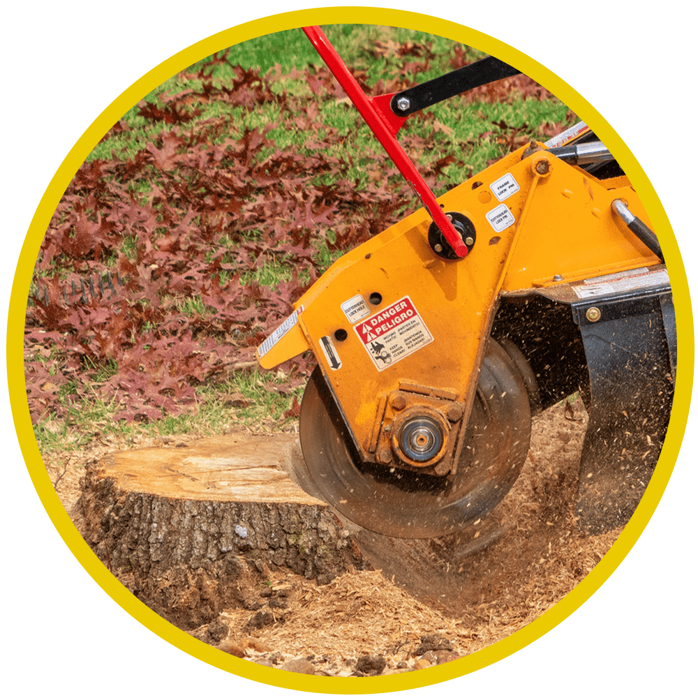 Northern Tree Services - Stump Grinding